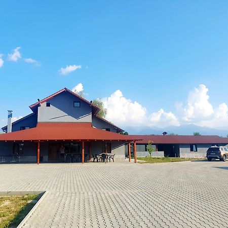 Apartament Vila Karina Carta  Zewnętrze zdjęcie