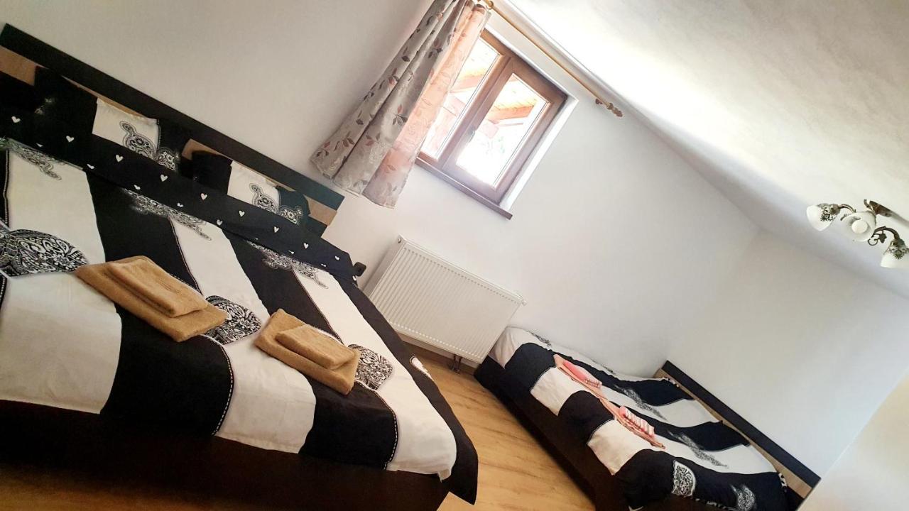 Apartament Vila Karina Carta  Zewnętrze zdjęcie