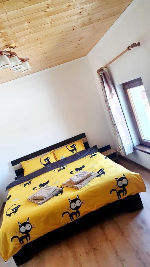 Apartament Vila Karina Carta  Zewnętrze zdjęcie