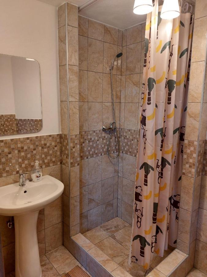 Apartament Vila Karina Carta  Zewnętrze zdjęcie