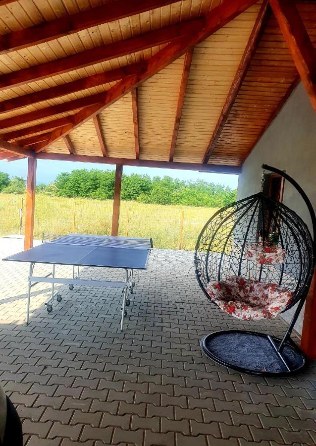 Apartament Vila Karina Carta  Zewnętrze zdjęcie